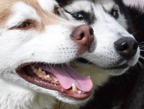 Werknemer in de spotlight: Brieneke