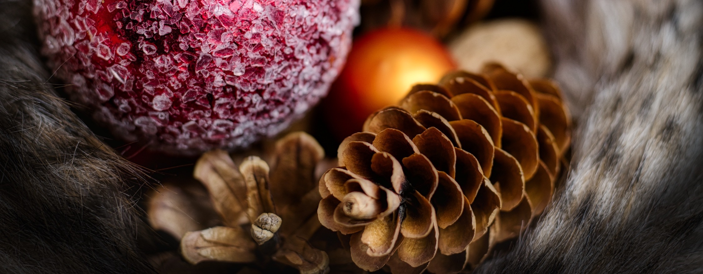 Fijne dagen en een goed 2020!