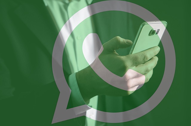 Profiteer van de gratis WhatsApp Business